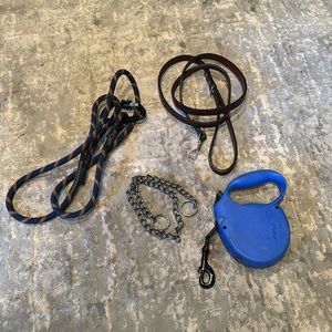 Assorted Leashes and Chain Collar
